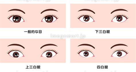 桃花眼 三白眼|目の形はどんな種類がある？ 特徴別の目の形とその作り方 